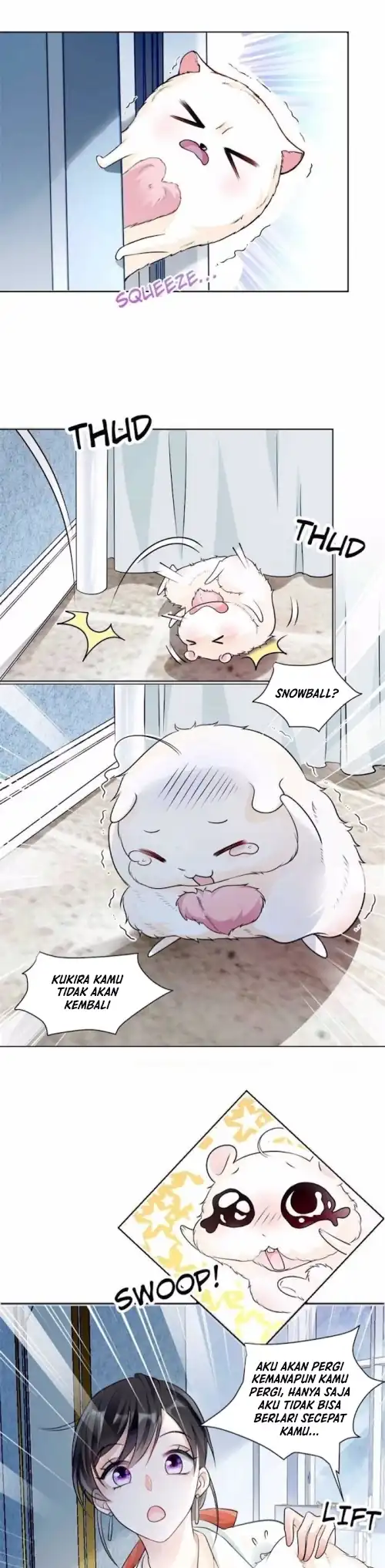 Ancestor is beautiful and elegant Chapter 02 page 20