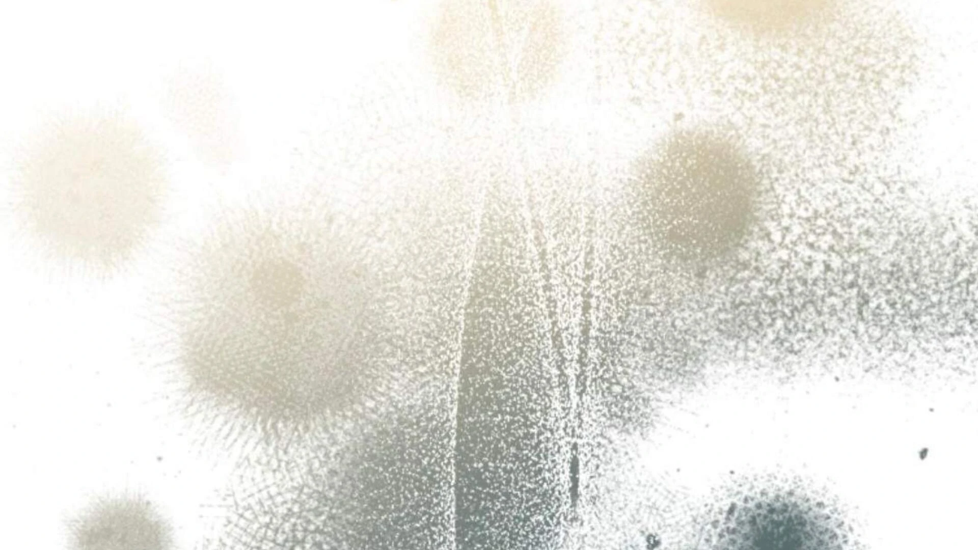 Baca Black Killer Whale Baby - Chapter 76 halaman 220