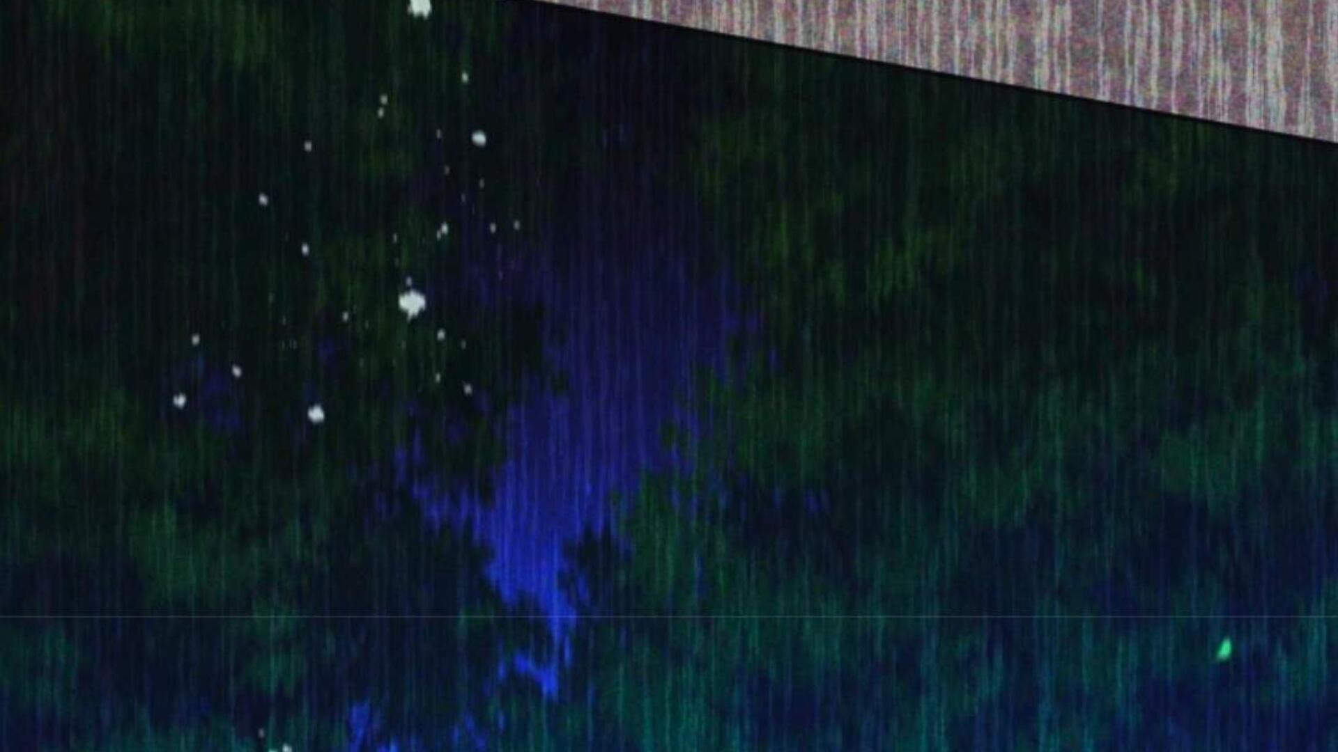 Baca Black Killer Whale Baby - Chapter 76 halaman 295