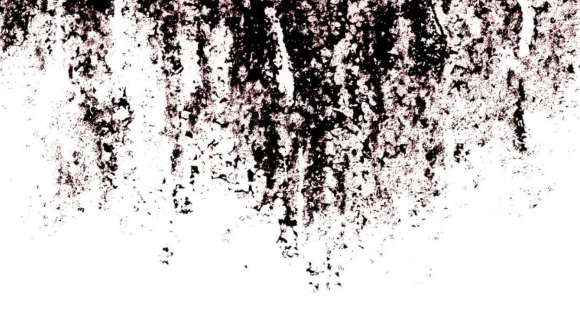 Baca Black Killer Whale Baby - Chapter 76 halaman 368