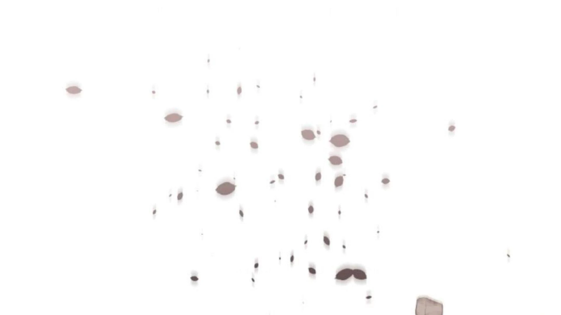 Baca Black Killer Whale Baby - Chapter 80 halaman 244