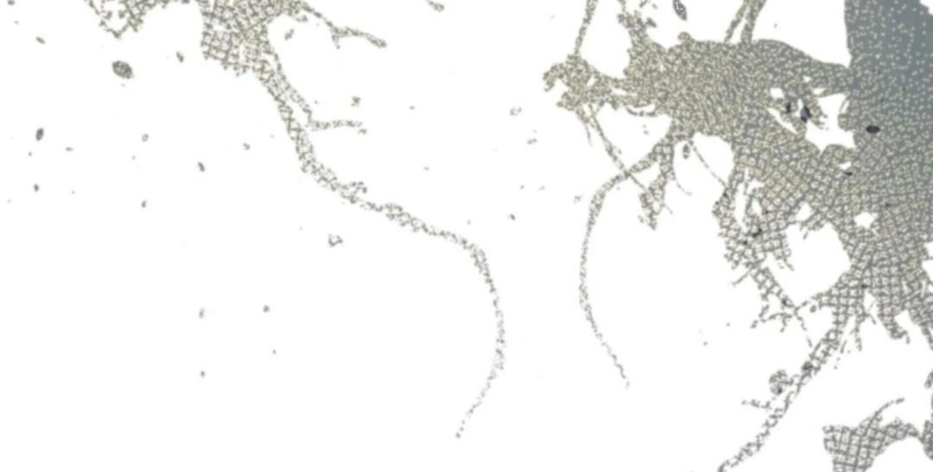 Baca Black Killer Whale Baby - Chapter 82 halaman 40