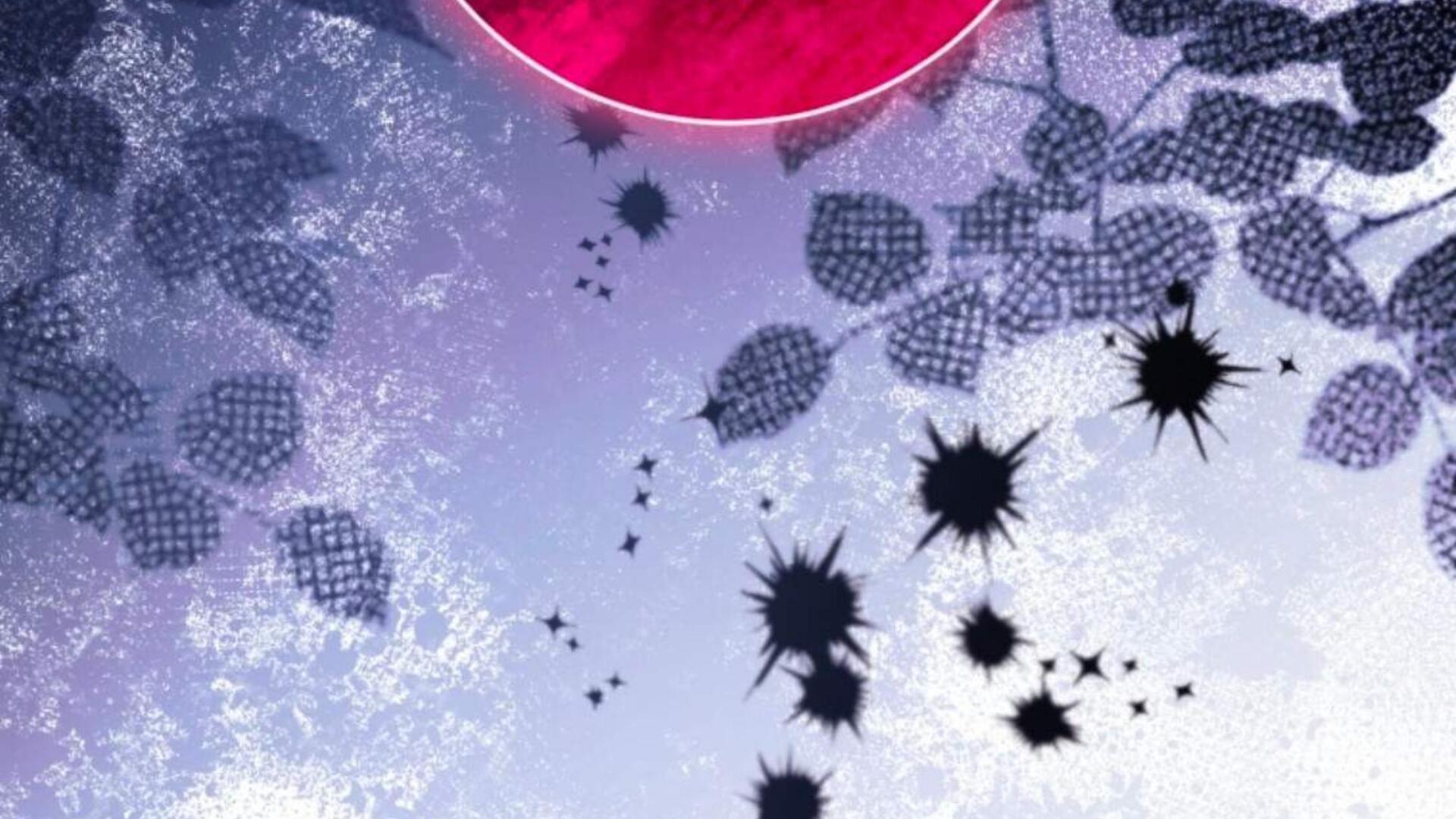 Baca Black Killer Whale Baby - Chapter 83 halaman 187