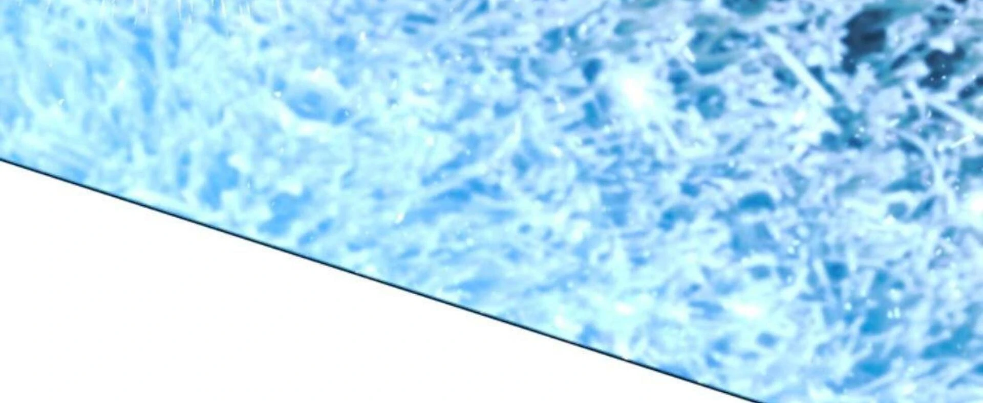 Baca Black Killer Whale Baby - Chapter 84 halaman 94