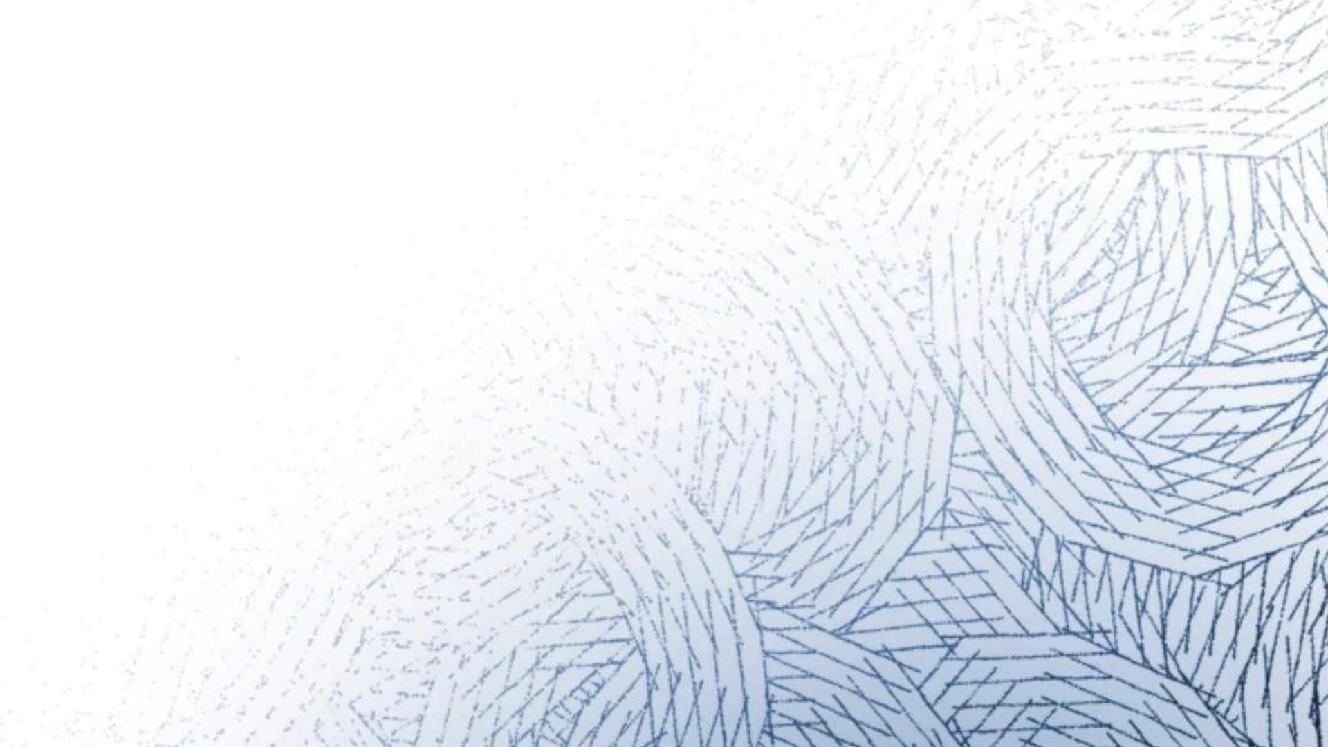 Baca Black Killer Whale Baby - Chapter 85 halaman 247