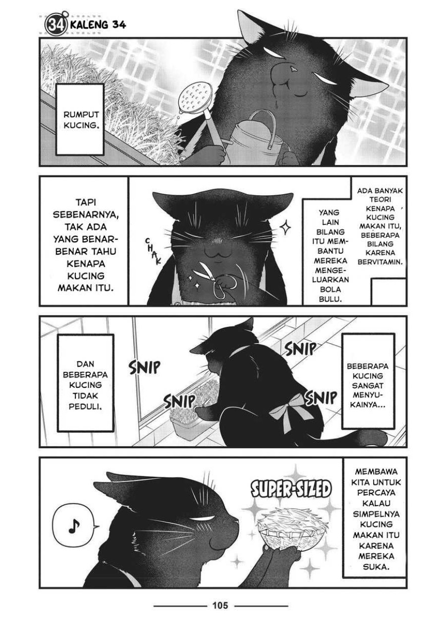 Baca Dekiru Neko wa Kyou mo Yuuutsu - Chapter 34 halaman 1