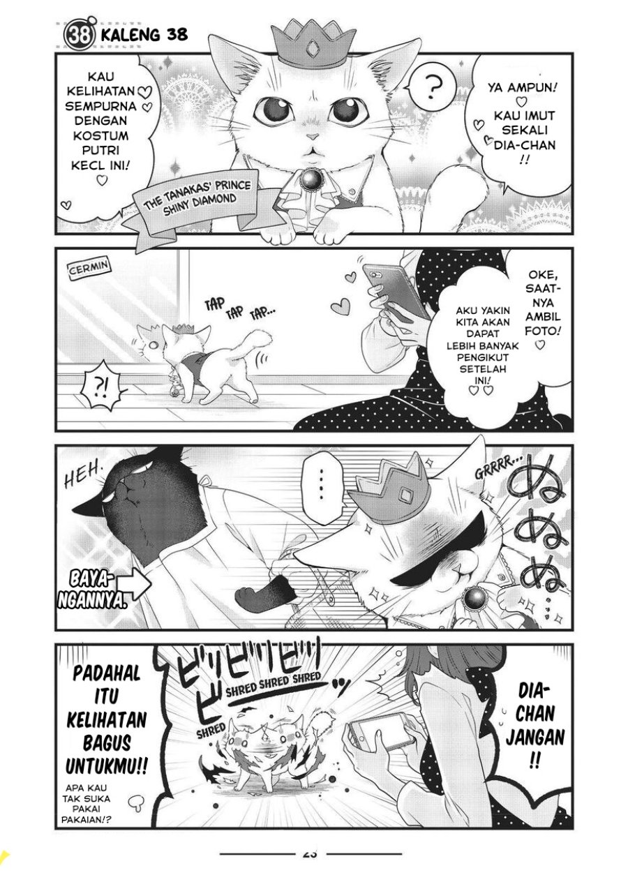 Baca Dekiru Neko wa Kyou mo Yuuutsu - Chapter 38 halaman 1