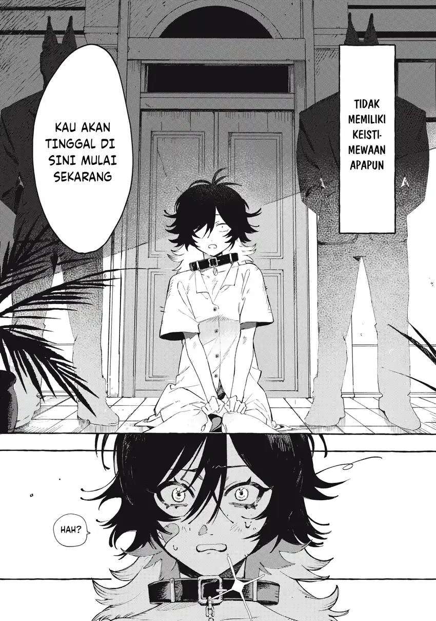 DOG MATIC Chapter 01 page 4