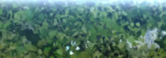 Baca God of Blackfield - Chapter 163 halaman 31