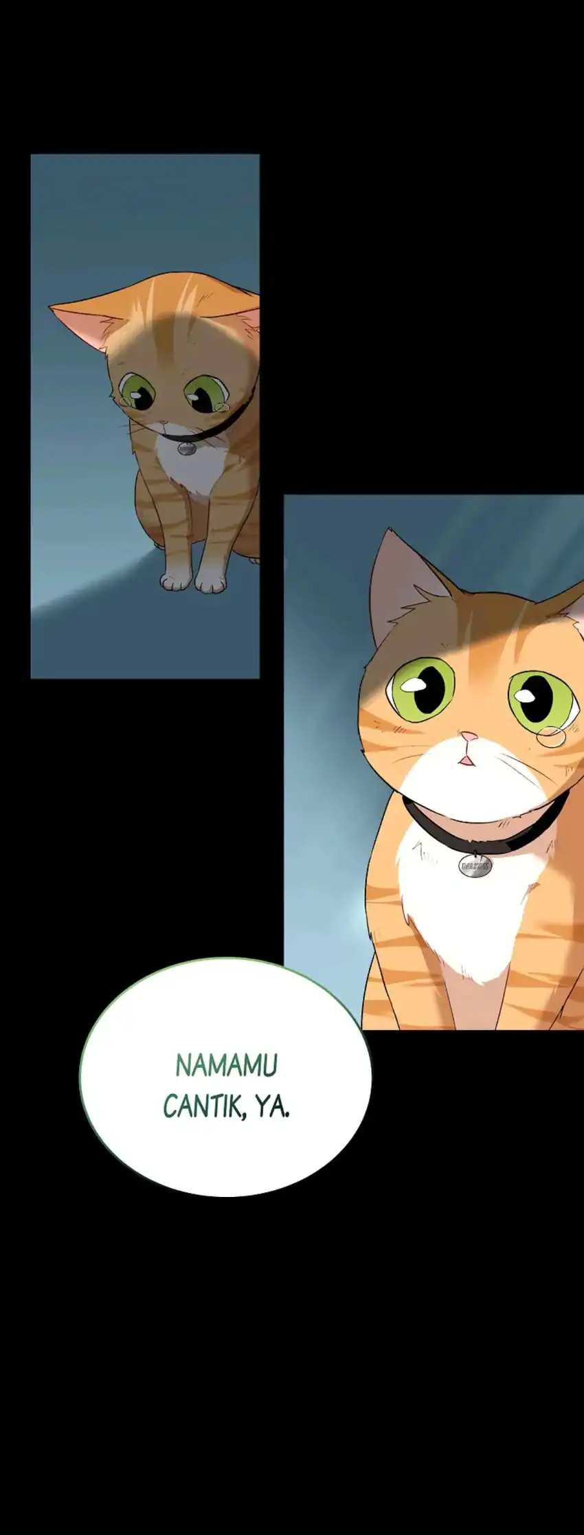 Hello? Veterinarian! Chapter 07 page 76