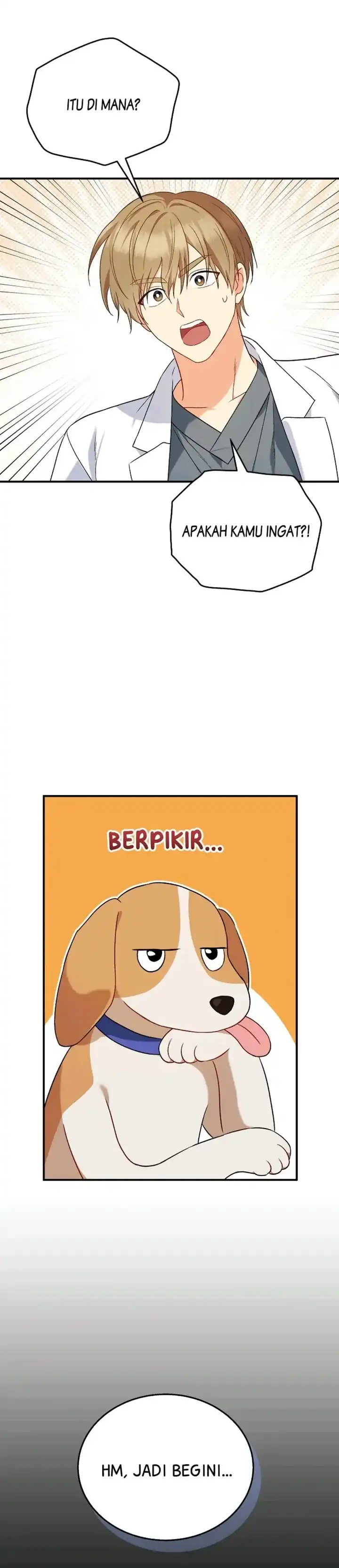 Hello? Veterinarian! Chapter 12 page 34