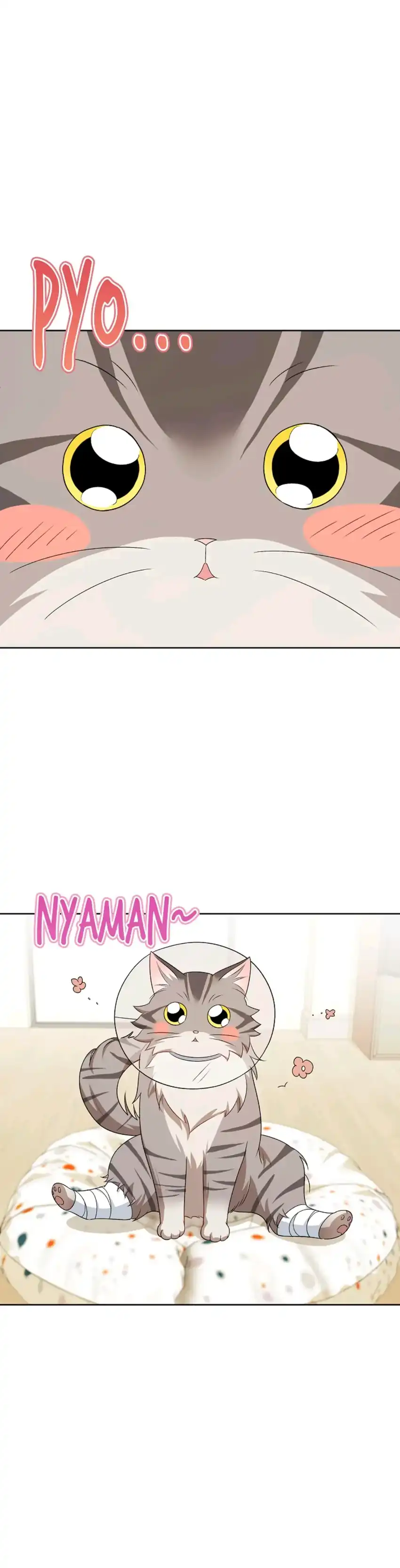 Hello? Veterinarian! Chapter 15 page 62