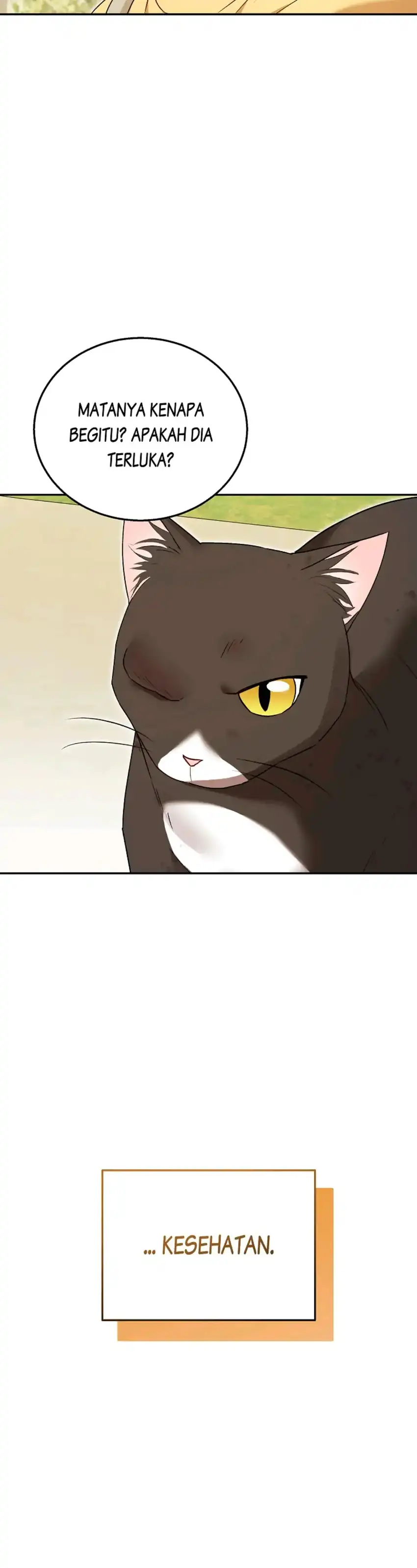 Hello? Veterinarian! Chapter 27 page 8