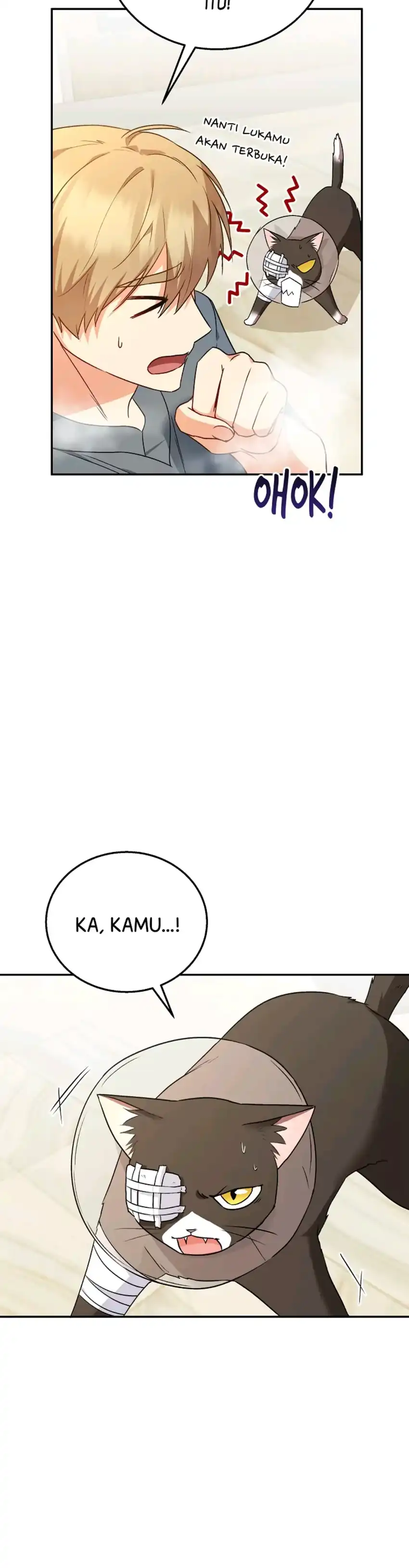 Hello? Veterinarian! Chapter 27 page 104