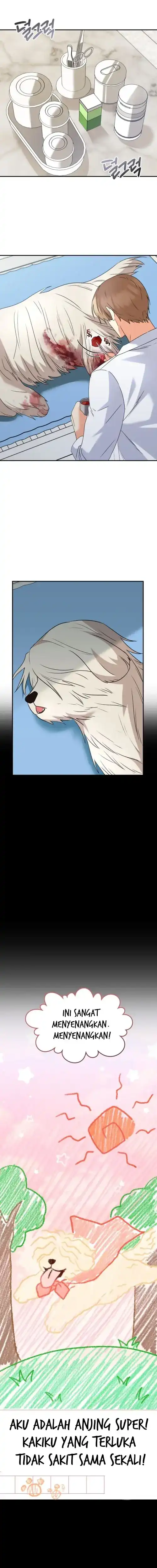 Hello? Veterinarian! Chapter 48 page 34