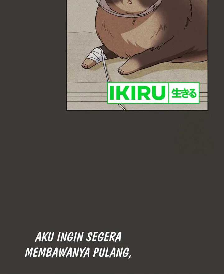 Hello? Veterinarian! Chapter 87 page 38
