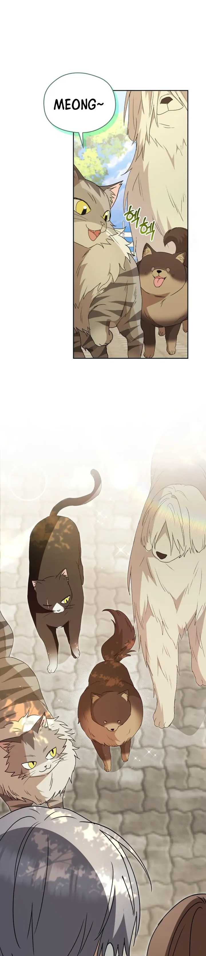 Hello? Veterinarian! Chapter 91 s2 end page 66
