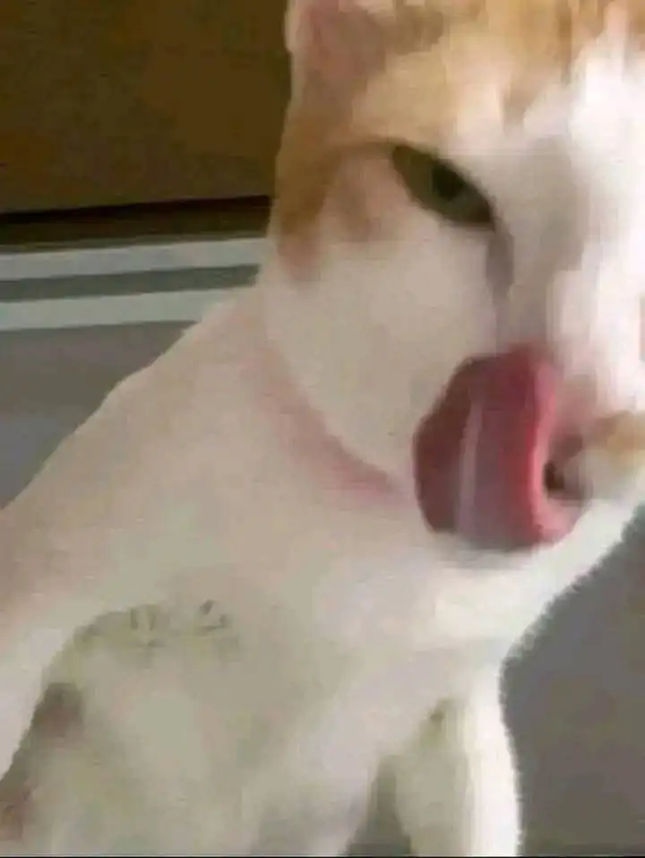 Baca Isekai Rakuraku Mujintou Life: Class Ten'i de Craft Ability o Eranda Ore Dake ga, Bishoujo Tachi to Slow Life o Okureru-ppoi - Chapter 4 halaman 26