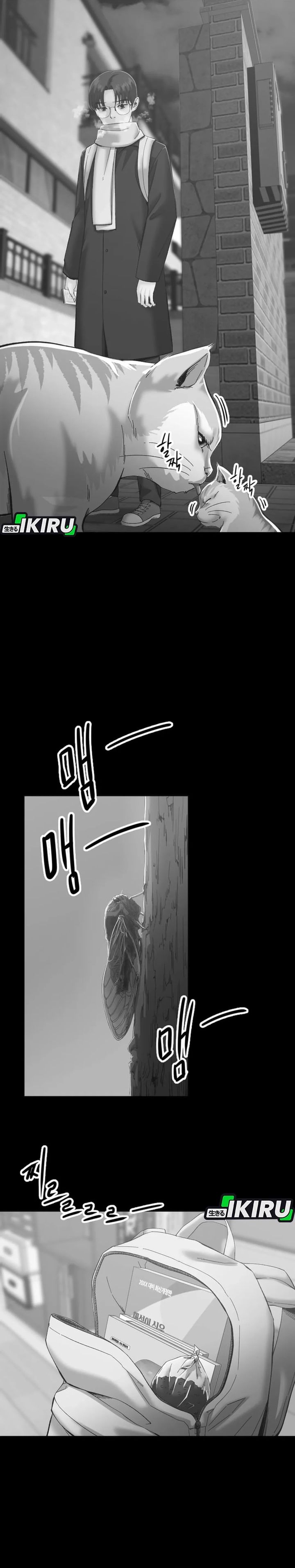 Baca Mirror (Mong-woo) - Chapter 11 halaman 22