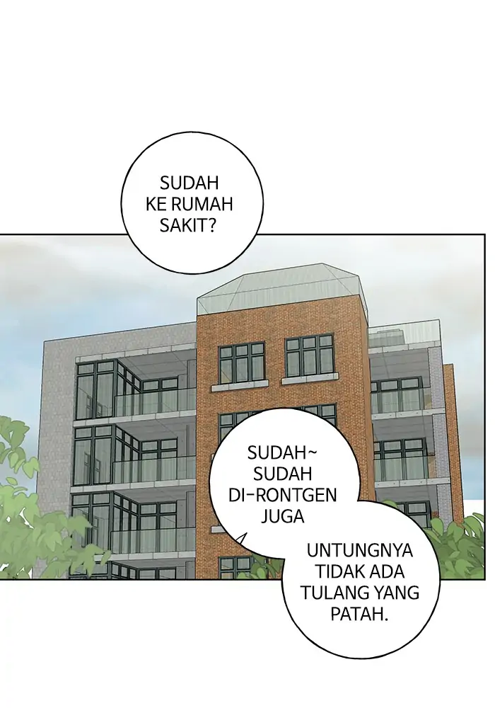 Panel 31