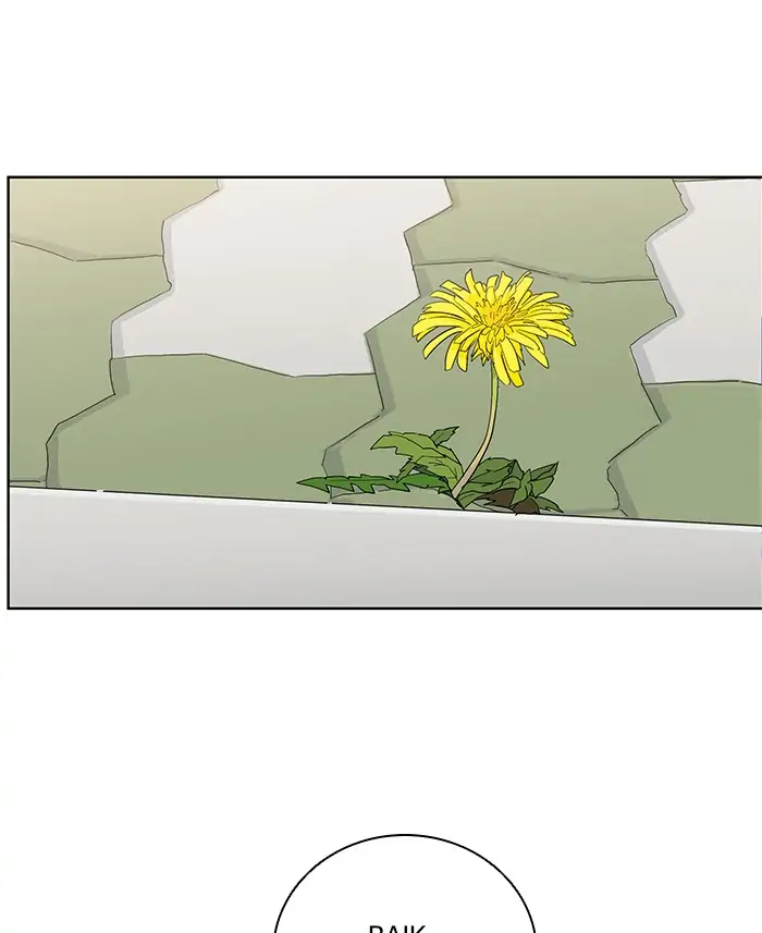 Panel 42