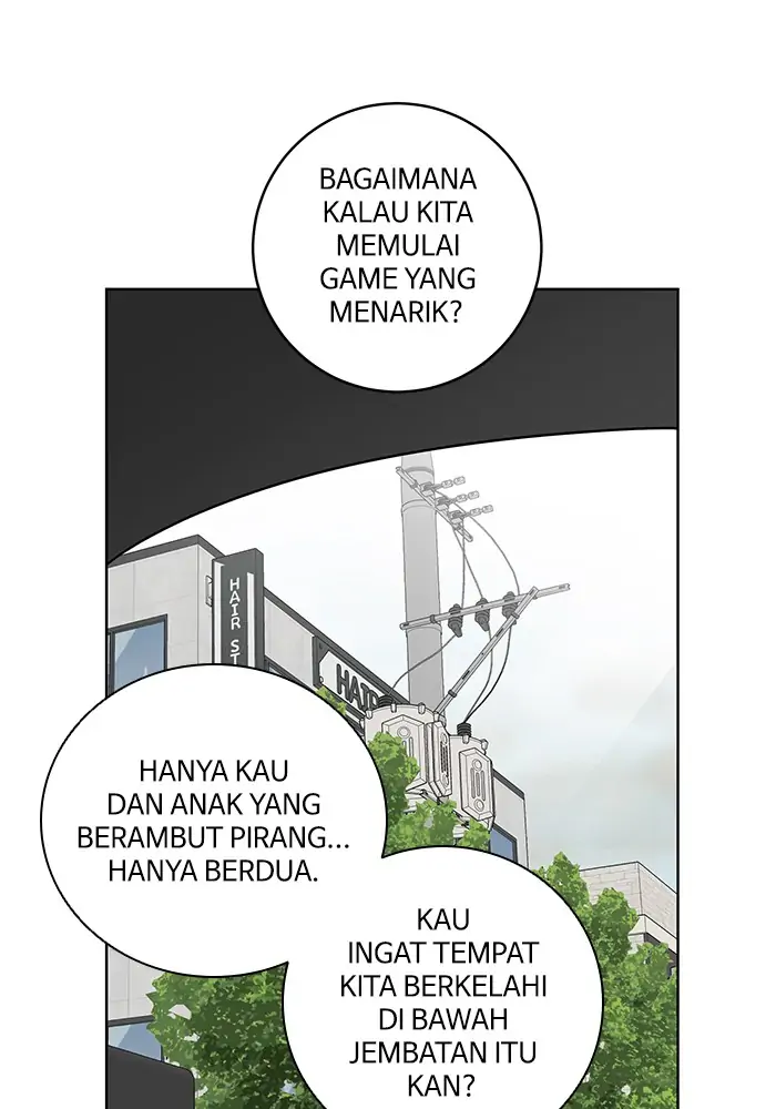 Panel 5