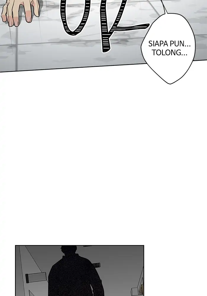 Panel 17