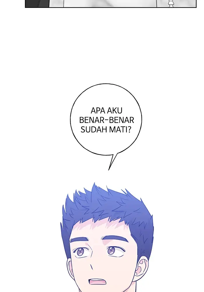 Panel 19