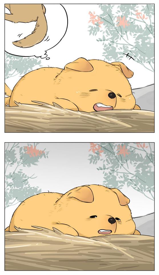 Baca Papa Wolf and the Puppy - Chapter 13 halaman 17