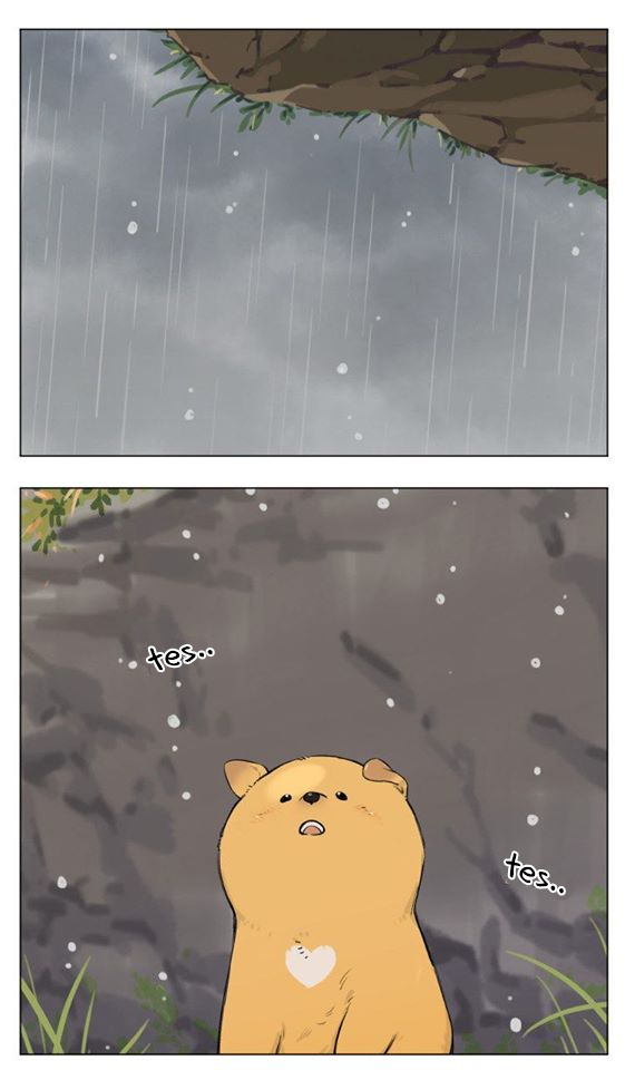 Baca Papa Wolf and the Puppy - Chapter 13 halaman 2