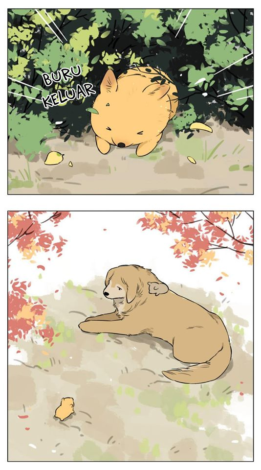 Baca Papa Wolf and the Puppy - Chapter 13 halaman 19