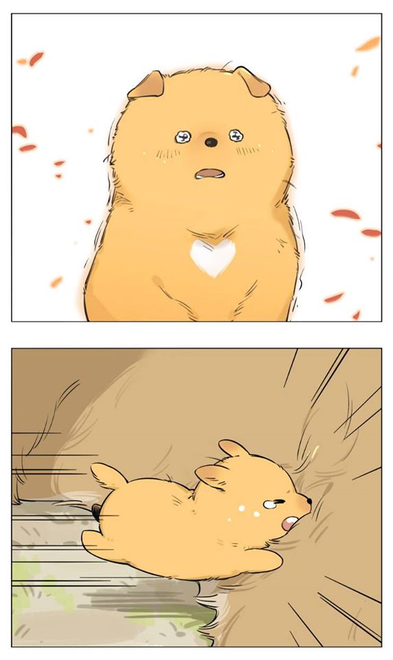 Baca Papa Wolf and the Puppy - Chapter 13 halaman 20