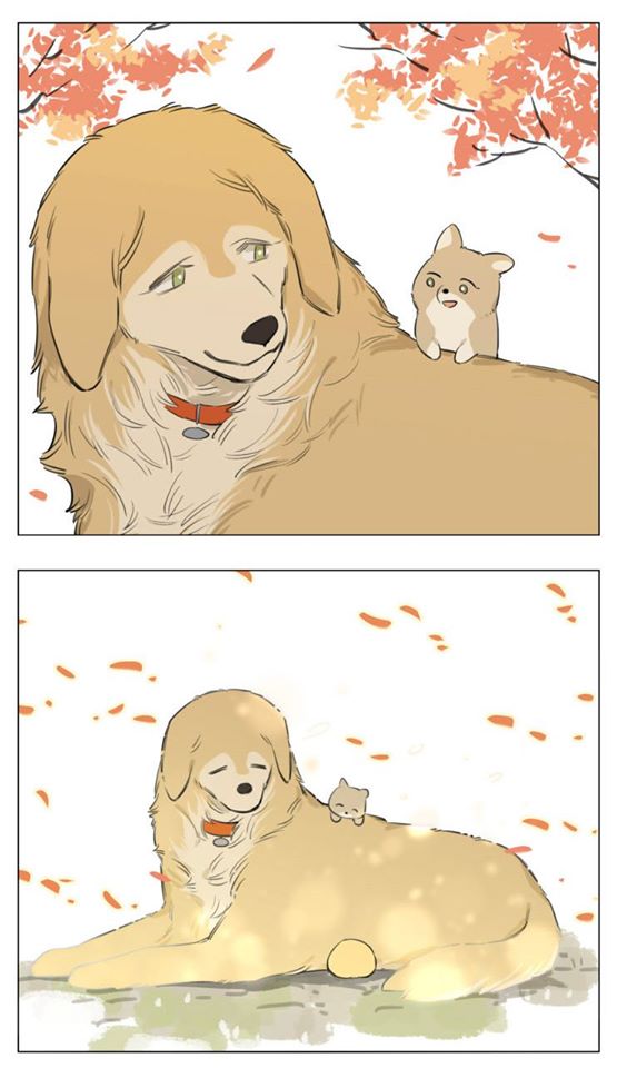 Baca Papa Wolf and the Puppy - Chapter 13 halaman 21