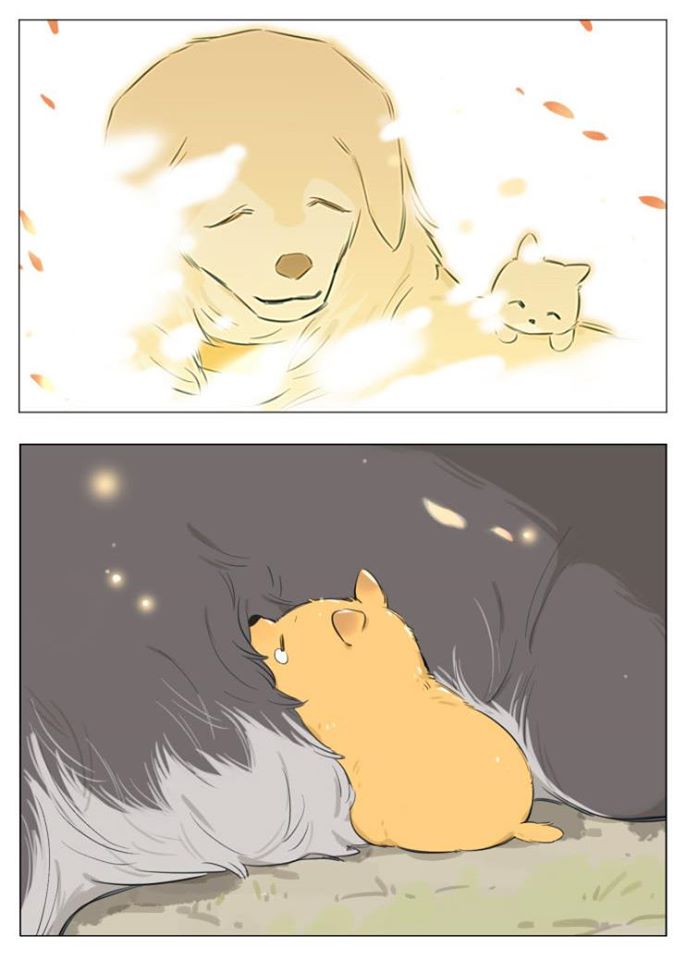 Baca Papa Wolf and the Puppy - Chapter 13 halaman 22