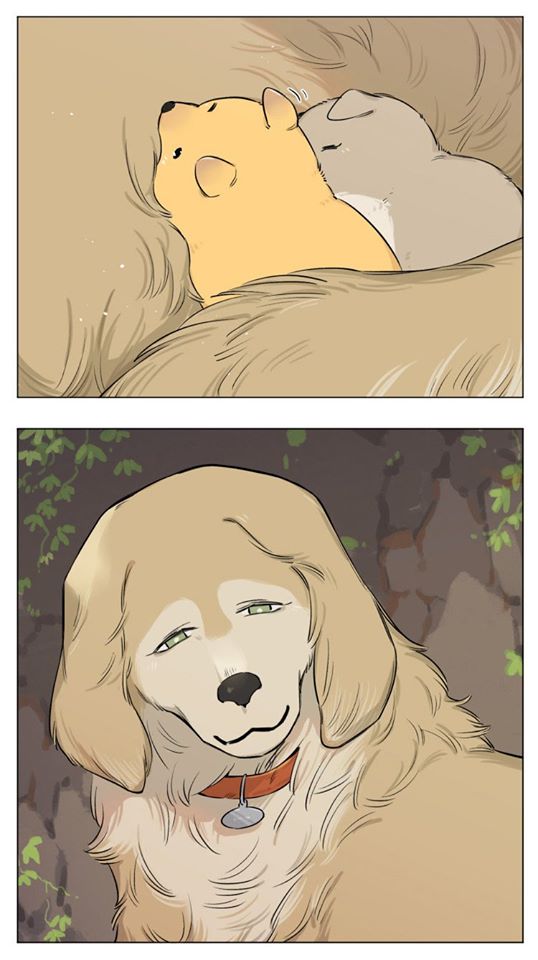 Baca Papa Wolf and the Puppy - Chapter 13 halaman 7