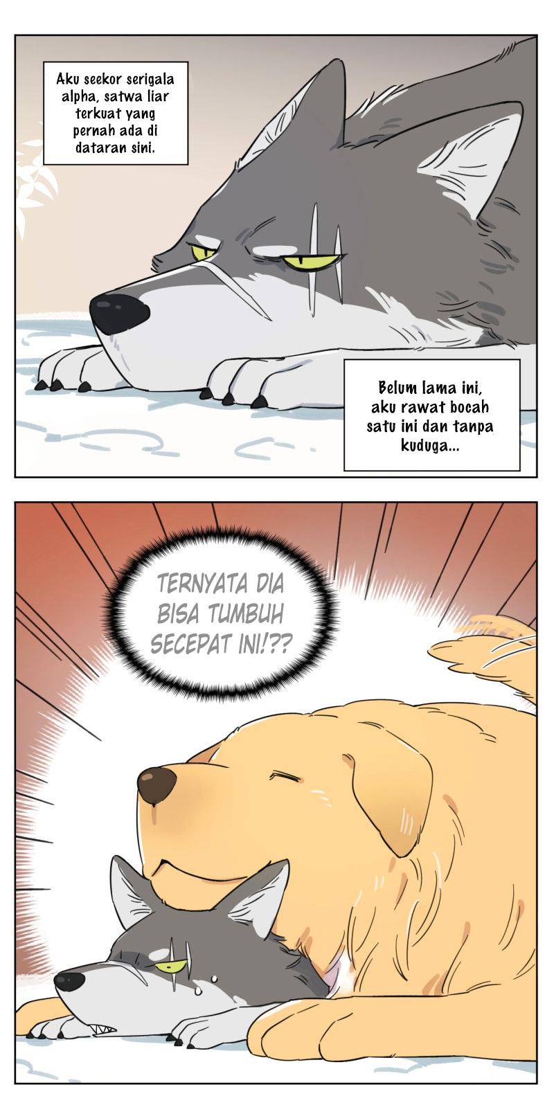 Baca Papa Wolf and the Puppy - Chapter 2 halaman 4