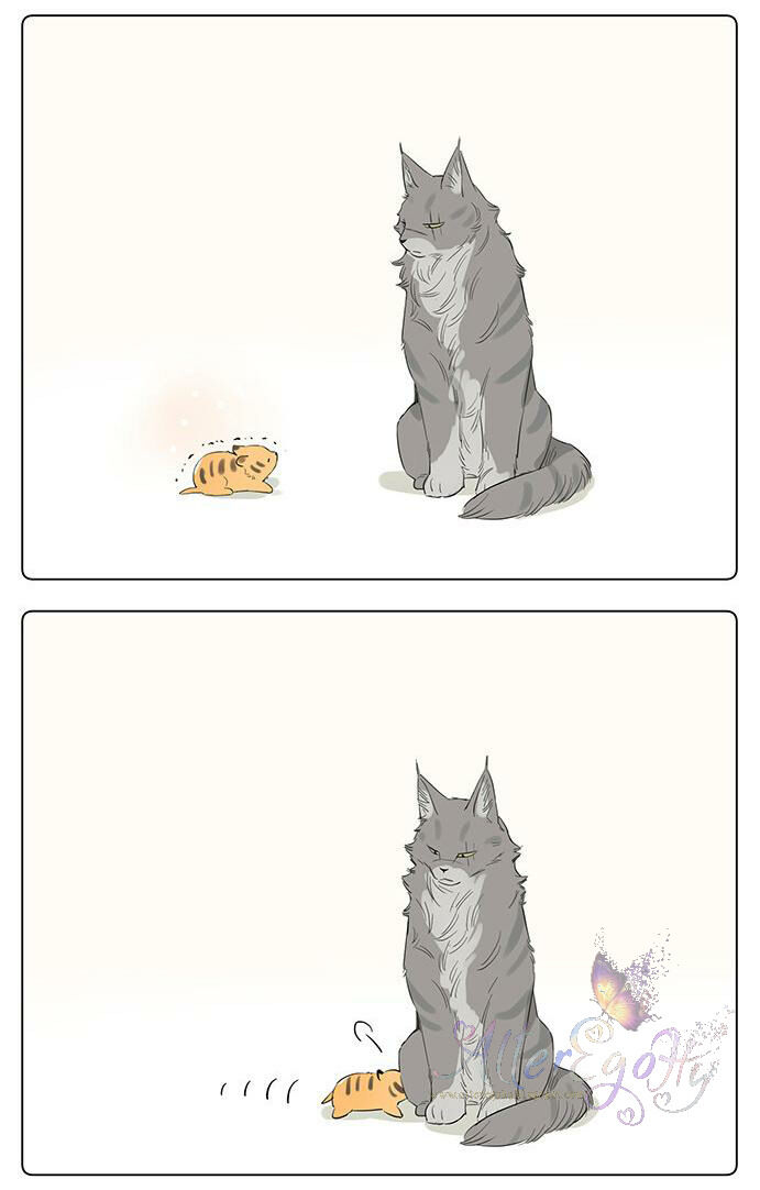 Baca Papa Wolf and the Puppy - Chapter 34 halaman 11