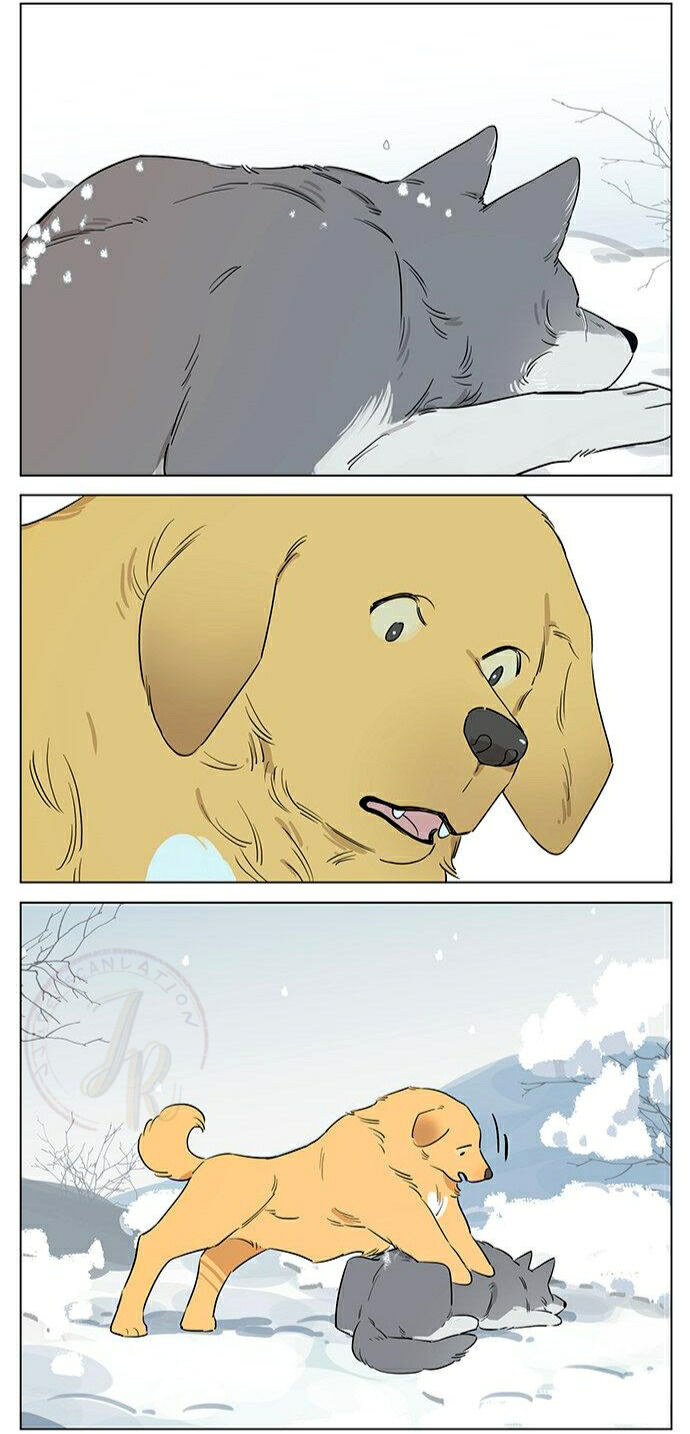 Baca Papa Wolf and the Puppy - Chapter 49 halaman 8