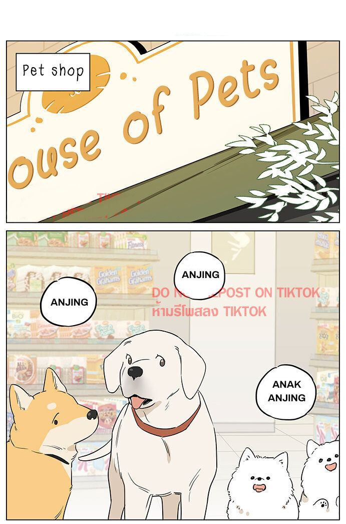 Baca Papa Wolf and the Puppy - Chapter 61 halaman 1