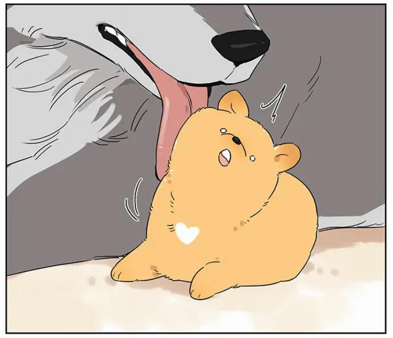 Baca Papa Wolf and the Puppy - Chapter 80 halaman 2