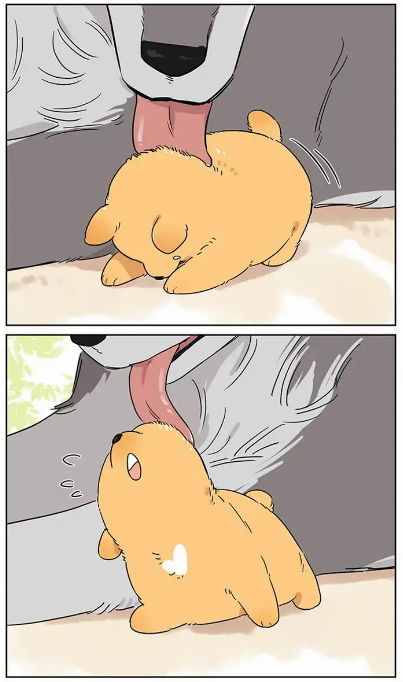 Baca Papa Wolf and the Puppy - Chapter 80 halaman 3