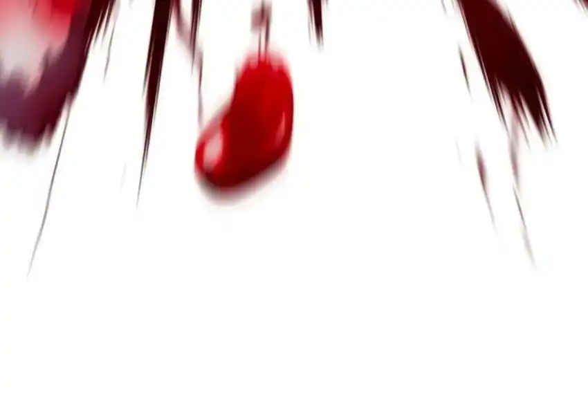 Baca Plaything - Chapter 66 halaman 323