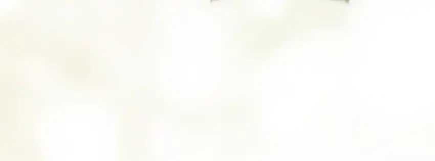 Baca Single Dad in Another World - Chapter 36 halaman 220