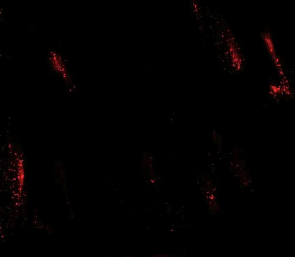 Baca The Evil Ring - Chapter 33 halaman 206