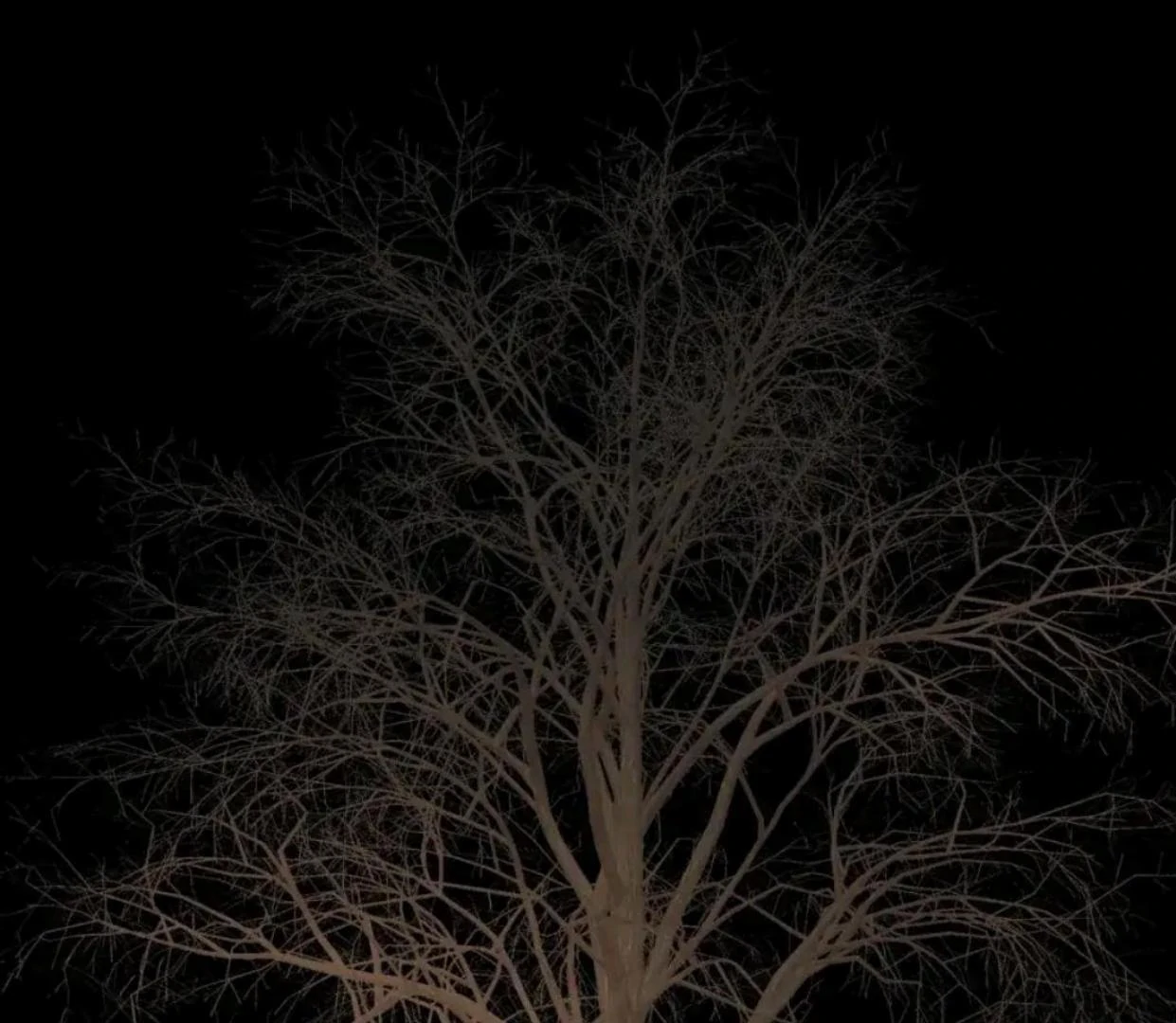 Baca The Evil Ring - Chapter 50 halaman 2