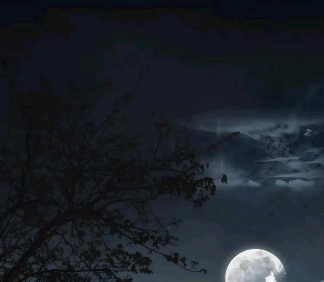 Baca The Evil Ring - Chapter 52 halaman 271