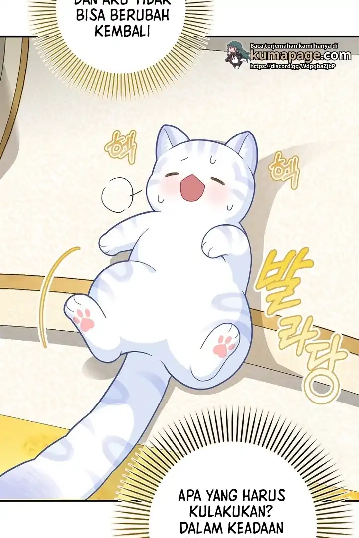 Baca The Snow Leopard Baby of the Black Leopard Family - Chapter 21 halaman 38