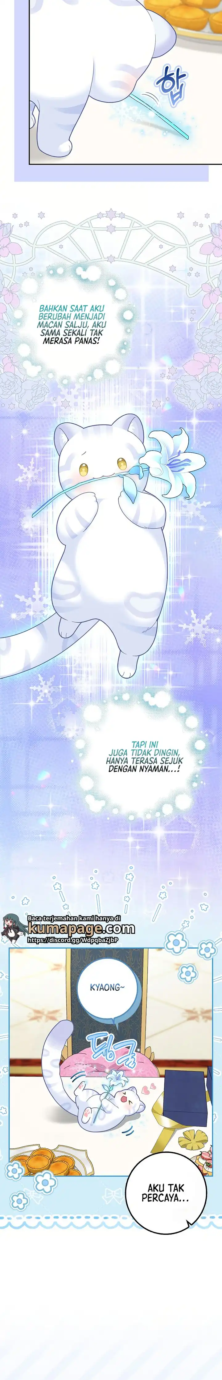 Baca The Snow Leopard Baby of the Black Leopard Family - Chapter 26 halaman 18