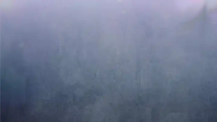 Baca The Snow Leopard Baby of the Black Leopard Family - Chapter 30 halaman 215