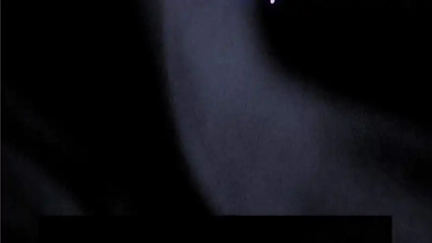 Baca The Snow Leopard Baby of the Black Leopard Family - Chapter 30 halaman 219